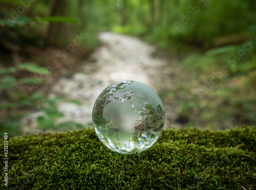 glass earth globe in forest