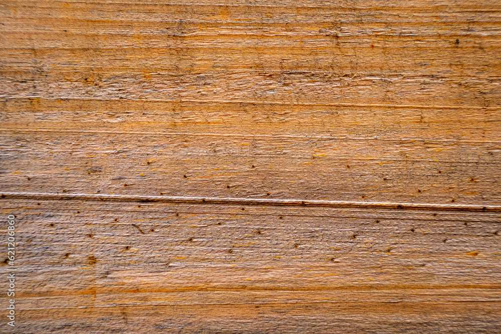 Obraz premium Brown wood texture. Abstract wood texture background.