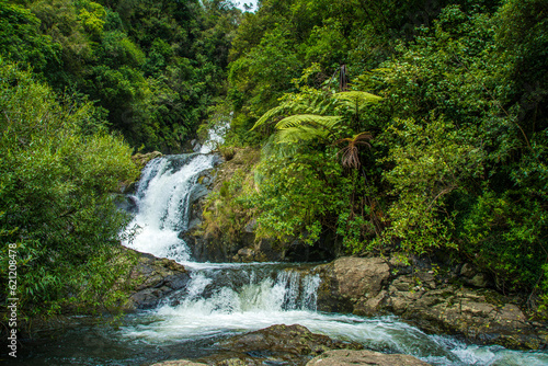 Beautiful cascade waterfall hidden in a forest. Adventure and travel concept. Nature background. Kaiate Falls, Bay of Plenty, New Zealand