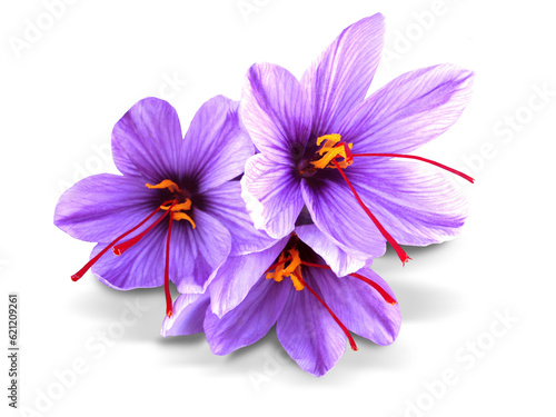 Saffron is a spice derived from the flower of Crocus sativus, commonly known as the 