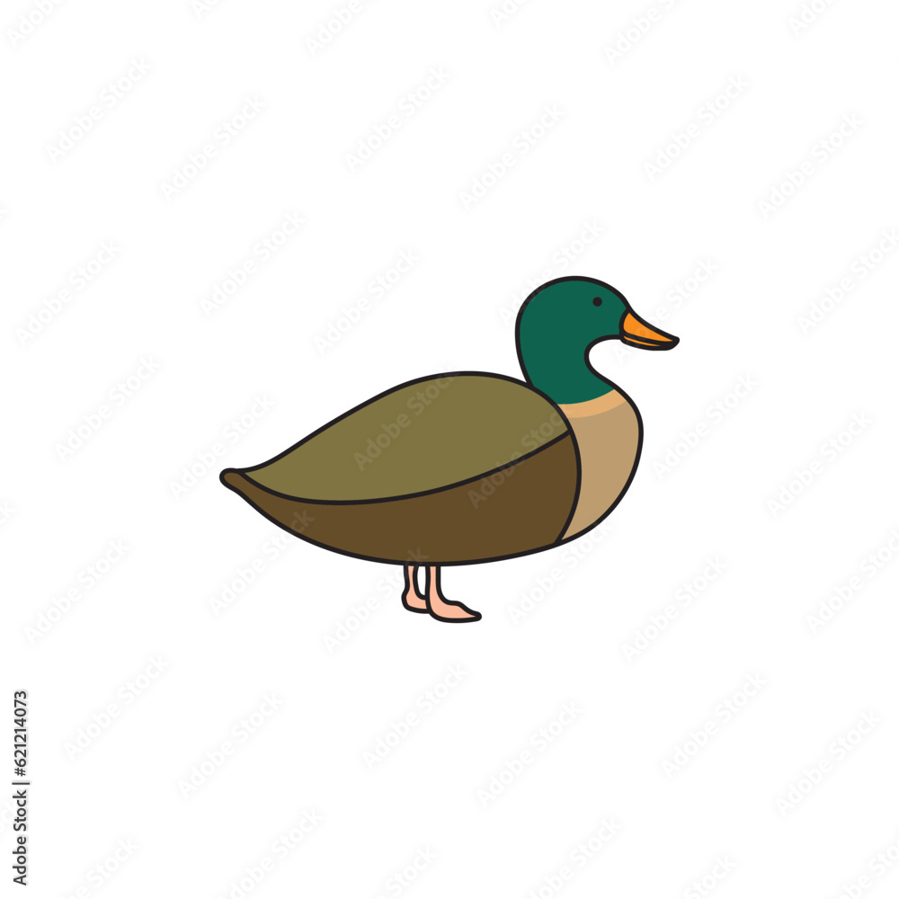 Kids drawing Cartoon Vector illustration cute wild duck mallard icon Isolated on White Background Kids drawing Cartoon Vector illustration cute wild duck mallard icon Isolated on White Background