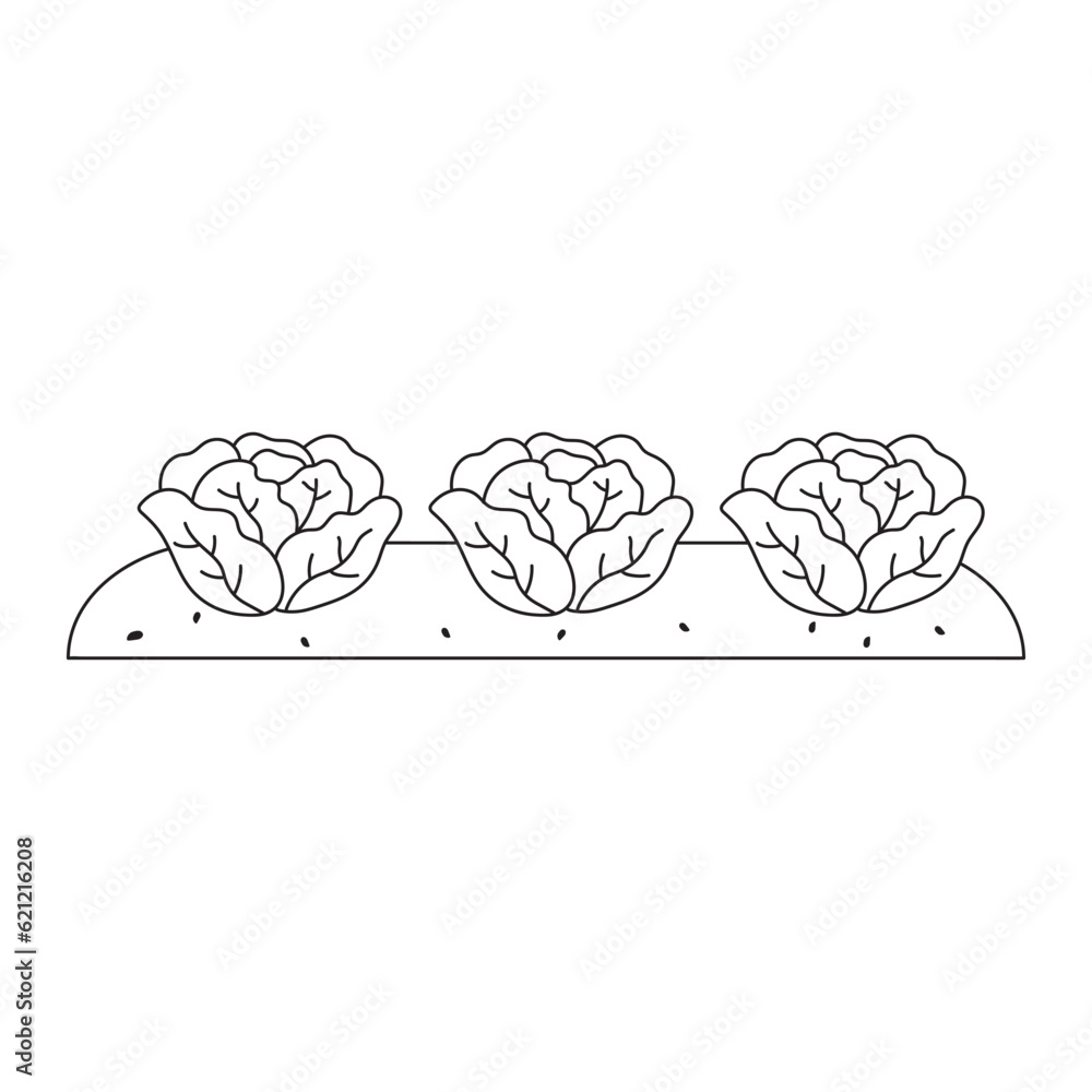Hand drawn Kids drawing Cartoon Vector illustration Cabbage in soil icon Isolated on White Background Hand drawn Kids drawing Cartoon Vector illustration Cabbage in soil icon Isolated on White Background