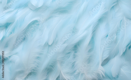 Beautiful turquoise Soft white feather texture