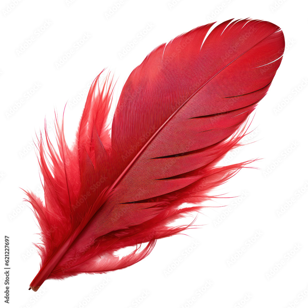 red feather isolated on transparent background cutout red feather isolated on transparent background cutout