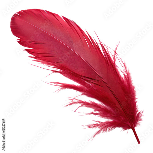 Leinwand Poster red feather isolated on transparent background cutout