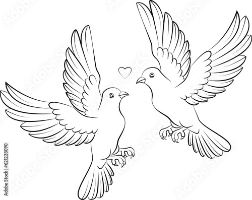pair of doves flying affectionately