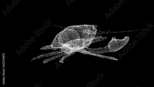 3D cryfish rotates on black bg. Restaurant delicacy. Seafood market. Wild animals concept. For title, text, presentation. Object made of shimmering particles. 3d animation 60 FPS