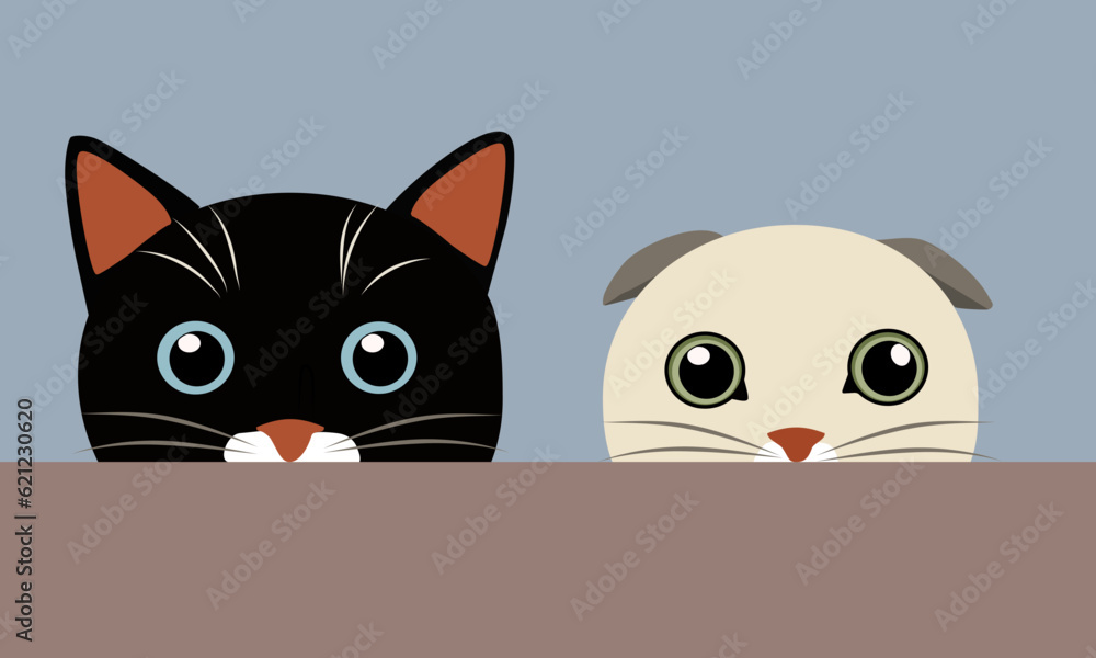 two cats peeking behind the wall two cats peeking behind the wall