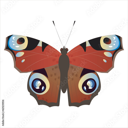 Vector butterfly aglais io. Butterfly and insect. Summer colorful butterfly.