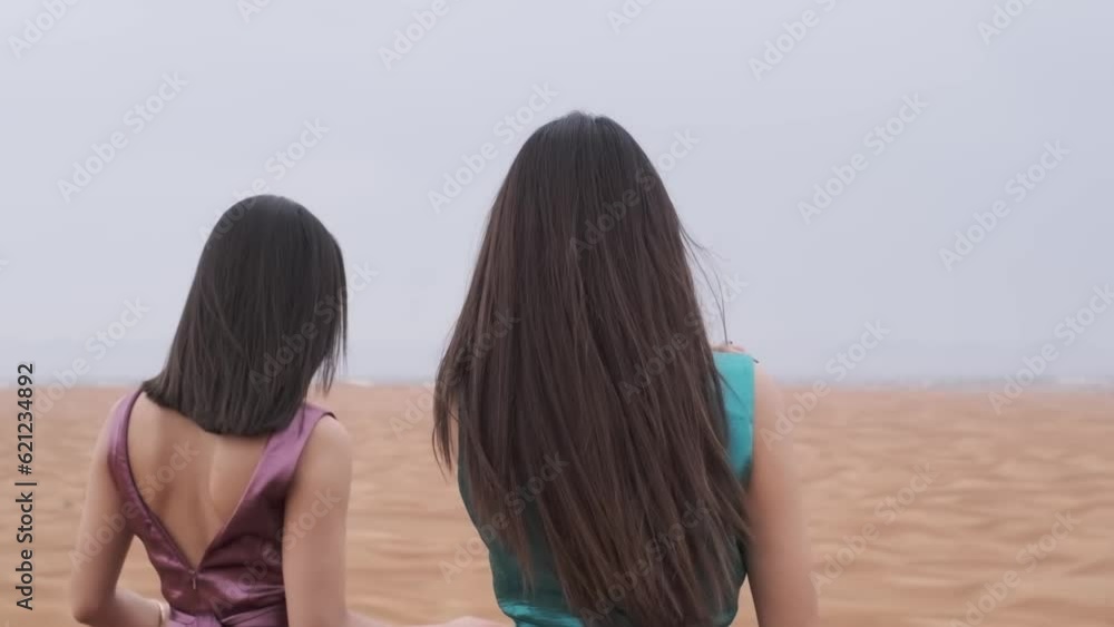 Vidéo Stock Two young women in long dresses developing in the wind ...
