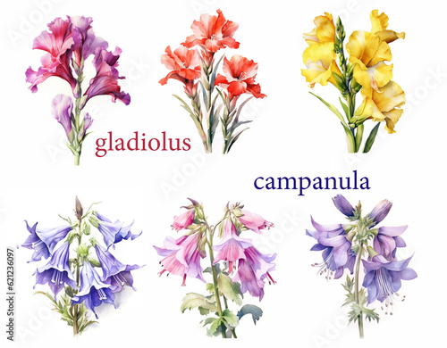 Tableau sur toile Garden flower set, watercolor gladiolus and campanula