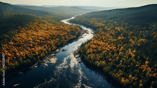 Generative AI. Beautiful mixed forest, aerial view. Minimalistic autumn green yellow banner of nature reserve. A clear emerald mountain river flows through the woods.