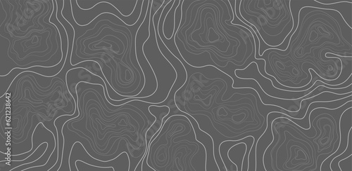 Stylized height texture map. Contour topographic. Isolines height lines. Abstract geographic mountain vector illustration.