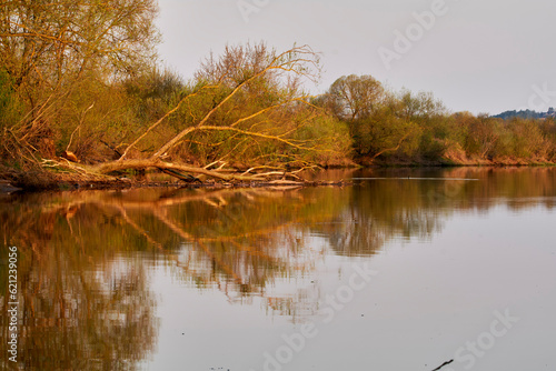 autumn trees reflected in water with fallen tree in water