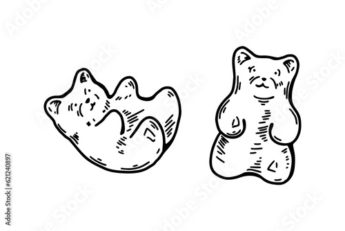 Jelly bear hand drawn vector illustration in sketch style. Cannabis jelly candy. Hemp product