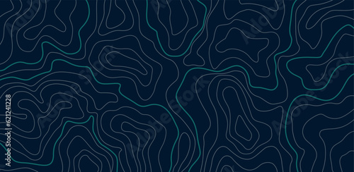 Stylized height texture map. Contour topographic. Isolines height lines. Abstract geographic mountain vector illustration.
