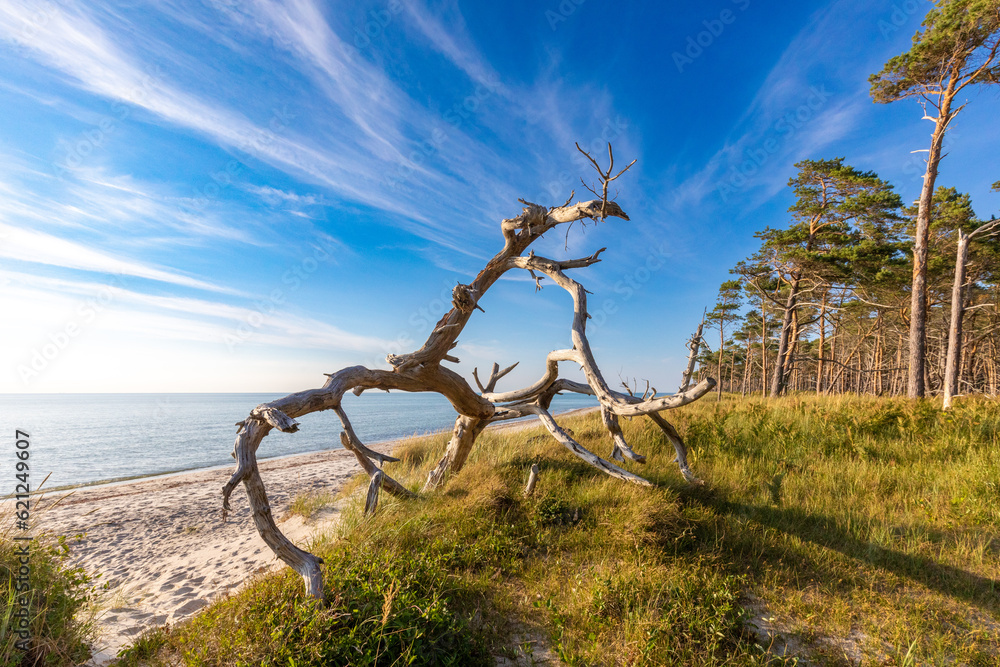 Darsser Weststrand, Müllerweg bis Steinreff.
