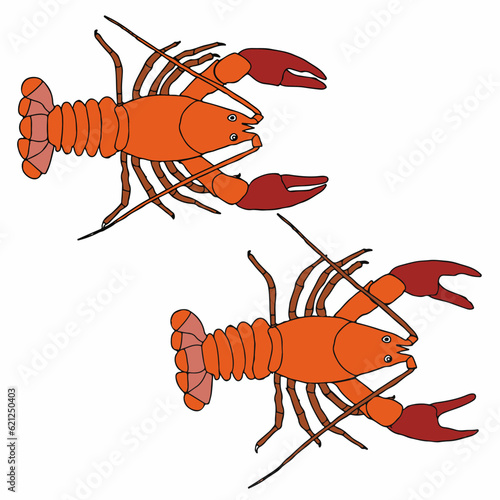 Two lobsters, on a white background. Vector illustration for animation