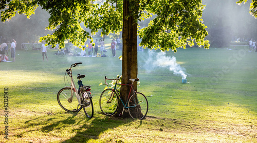 People enjoy picnic on grass at park in Rotterdam destination Netherlands. Bike parked at tree.