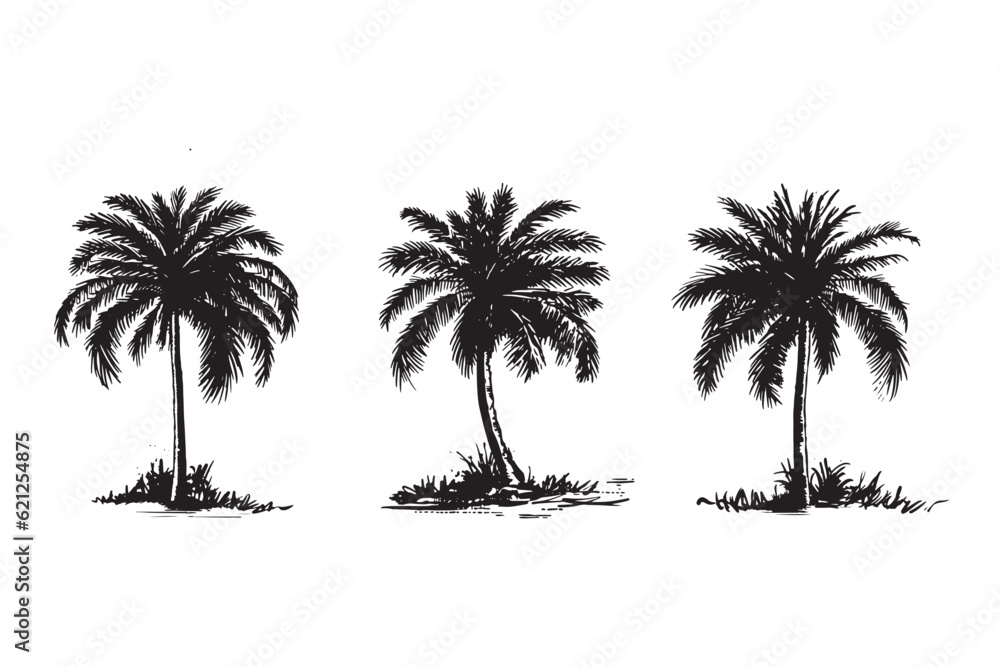 Palm, Hello Summer, hand drawn illustrations, vector.	
 - obrazy, fototapety, plakaty 