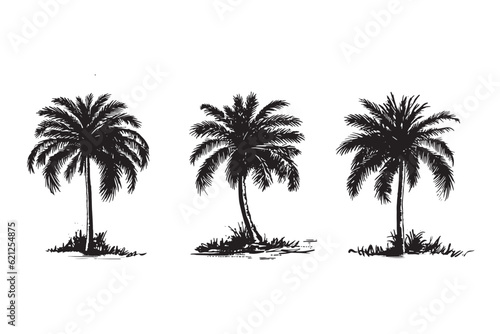 Palm, Hello Summer, hand drawn illustrations, vector. 