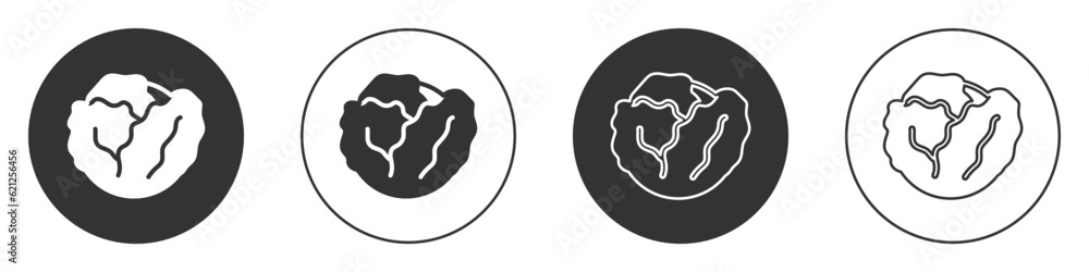 Black Fresh cabbage vegetable icon isolated on white background. Circle button. Vector Black Fresh cabbage vegetable icon isolated on white background. Circle button. Vector