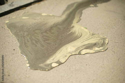 Water on asphalt. Pollen from plants in water. Puddle in road.