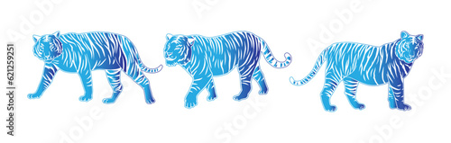 illustration of a tiger s  vector image with blue gradations consisting of three images