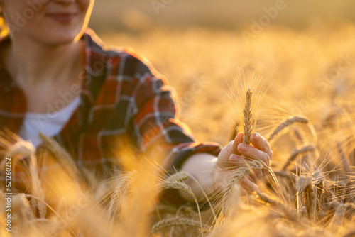 Woman farmer touches the ears of wheat on an agricultural field.