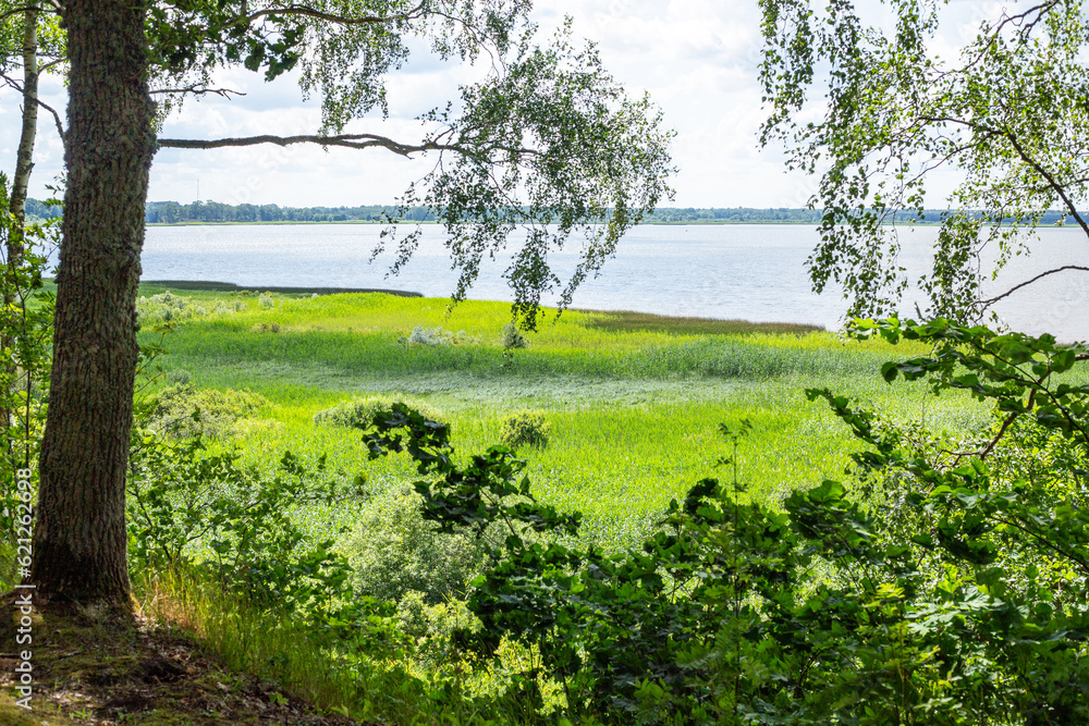 Steep coast of lake Burtnieks in July in Burtnieki in Latvia