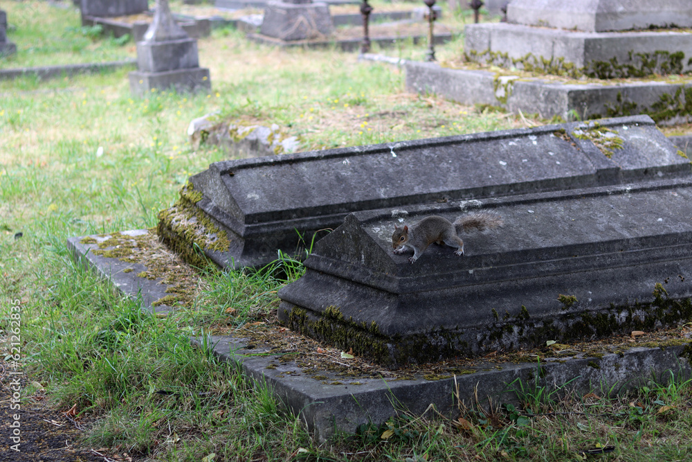 Brompton cemetery in London UK. Picturesque old cemetery in summer day. Brompton cemetery in London UK. Picturesque old cemetery in summer day.