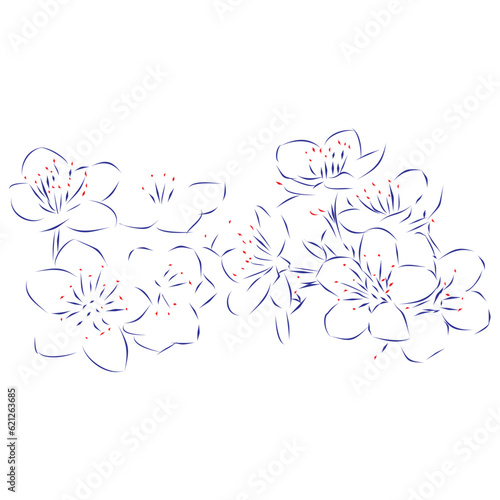 Continuous line drawing of beautiful spring flowers with pollen, floral background. Hand drawn, vector illustration