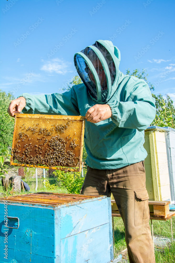 Portrain of Ukrainian smiling senior bee-keeper at work place Portrain of Ukrainian smiling senior bee-keeper at work place