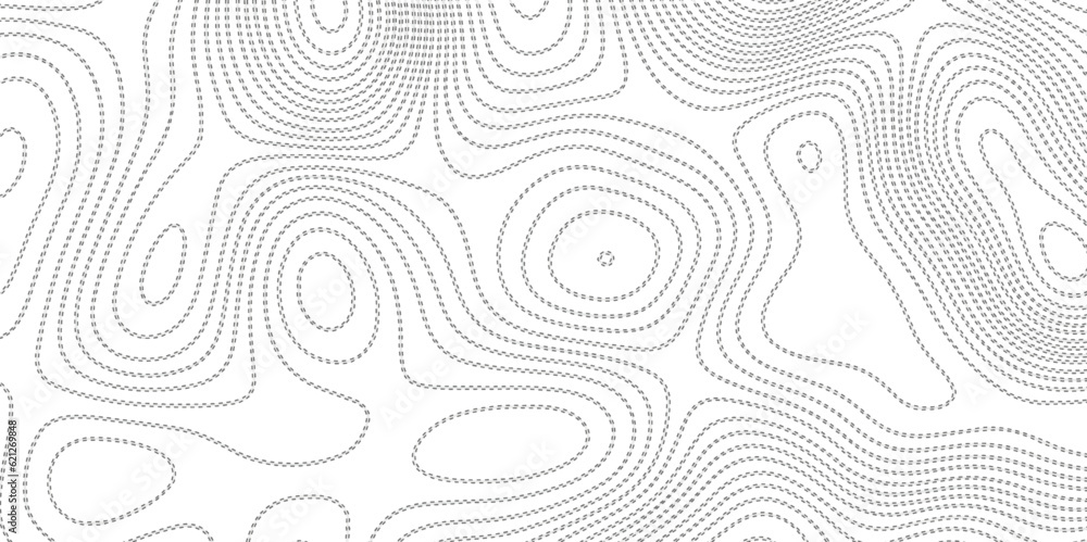 Background of the topographic map. White wave paper curved reliefs abstract background. Topographic line contour map background.  Black and white topography contour lines map isolated.