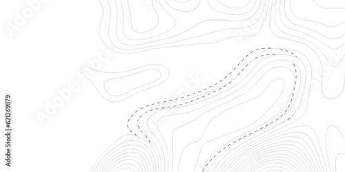 Background of the topographic map. White wave paper curved reliefs abstract background. Topographic line contour map background.  Black and white topography contour lines map isolated.
