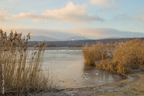 Fototapeta Naklejka Na Ścianę i Meble -  Eissee