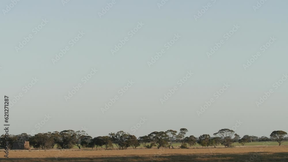 Australian rural scenes Wheatbelt 4K Australian rural scenes Wheatbelt 4K