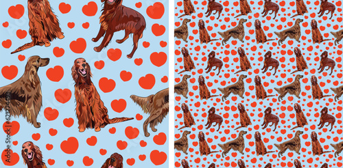 Seamless Irish setter dog pattern, holiday texture. Packaging, textile, decoration, wrapping paper. Saint Valentine wallpaper with hearts and mascots. Fun seamless square pattern with hearts and dogs.