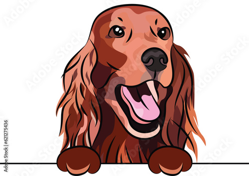 Funny Irish setter dog with paws in a pocket,  vector illustration. Funny dog smiling. Cute dog head on a white background, isolated logo. Hand-drawn mascot. Funny dog muzzle over a white wall. BFF. 