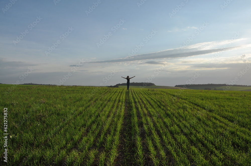 jovem mulher de braços abertos em campo paisagem rural de plantação jovem mulher de braços abertos em campo paisagem rural de plantação
