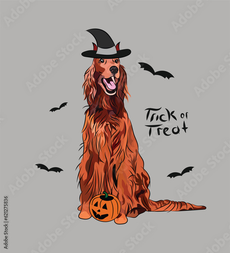 Dog Halloween greeting card with a sitting Irish setter dog. Dog in a costume, pumpkin in a paw. Postcard for pet lovers. Pet character postcard art. Funny yellow dog mascot. Witch spooky pet.
