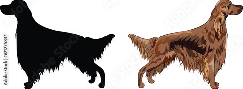 Standing Irish setter dogs. Cute side view pet. Logo design, dog silhouette. Pet character postcard art. Funny dog mascot. Detailed fawn small pet illustration. Setter Outlines, one color dog icon.