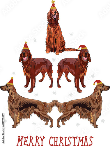 Irish setter dogs wearing winter hats. Cute funny dogs. Abstract Christmas tree. Vector illustration. Merry Christmas greeting card with the cute funny sitting and standing dogs, holiday present.