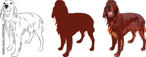 Irish setter silhouette, outlined graphic of dog. Standing pose dog. Cute dog character, design for print, cute cartoon vector set. One color design. Art, hand-drawn style. Irish breed silhouette dog.