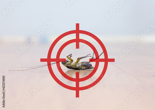 Gun target focus to kill cockroach , pest control service concept