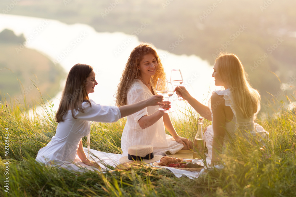 The company of female friends enjoys a summer picnic and raise glasses with wine.