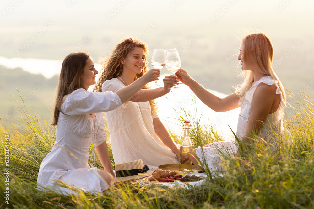 Cheerful girlfriends with glasses of wine looking at each other with smile and clinking glasses during summer picnic on the hill.
