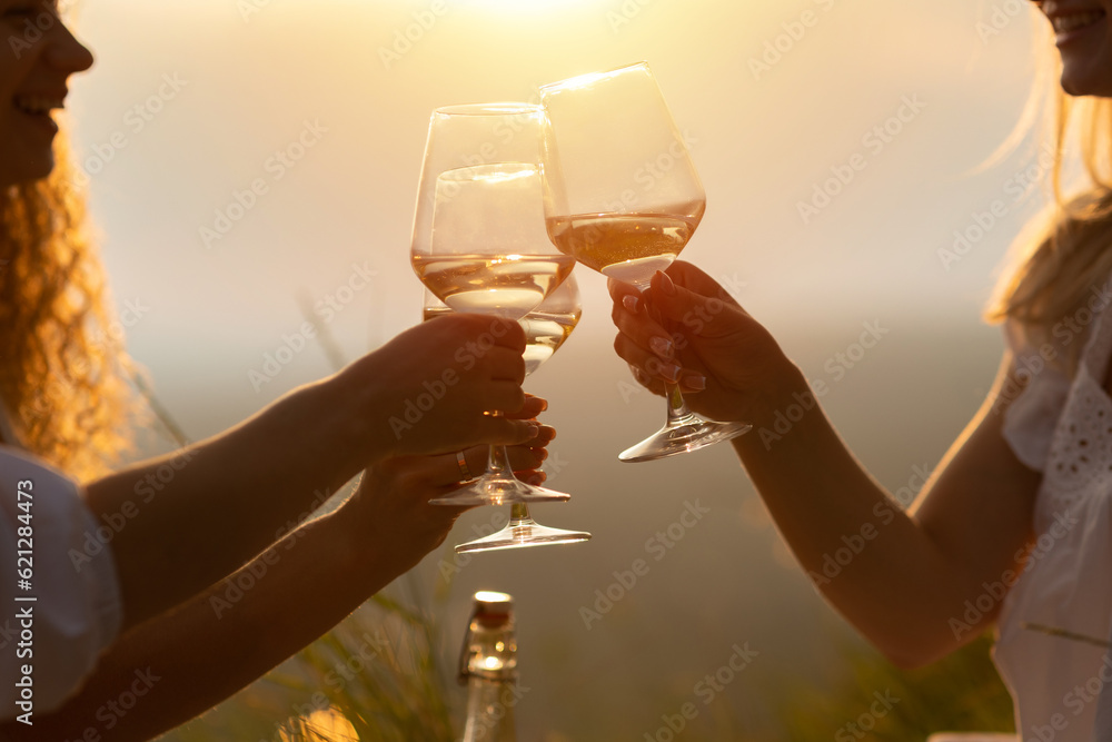 A group of happy smiling girlfriends raise a toast with glasses of white wine on a sunset. Close shot.
