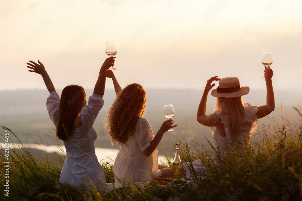Back view of happy women in the park in evening sunlight. The lights of a sun. The company of female friends enjoys a summer picnic and raise glasses with wine.