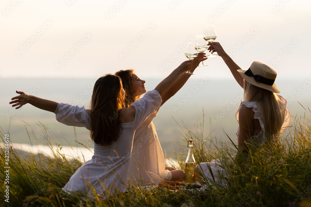 Group of girlfriends outside have fun together toasting with wine glasses at sunset at summer picnic. Cheerful people laugh and joke.